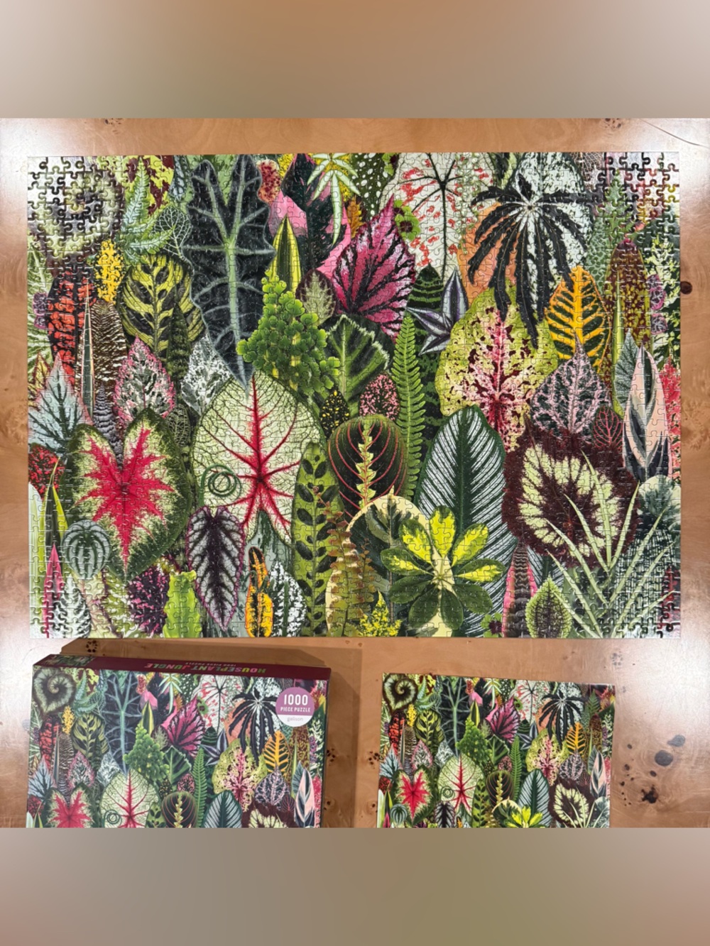 Botanical Leaf 1000-Piece Puzzle - Picture 3 of 5